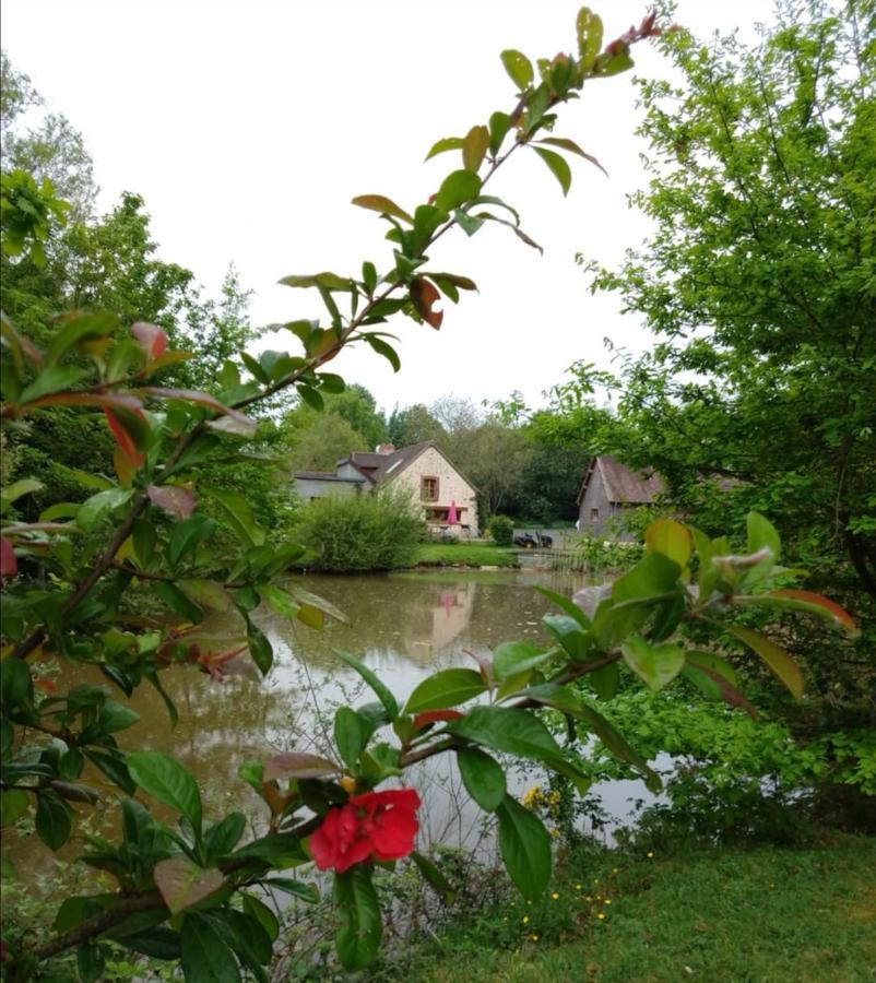 24H Le Mans - Les Haies Gite, Near Le Mans Circuit Villa Coulans-sur-Gée Esterno foto
